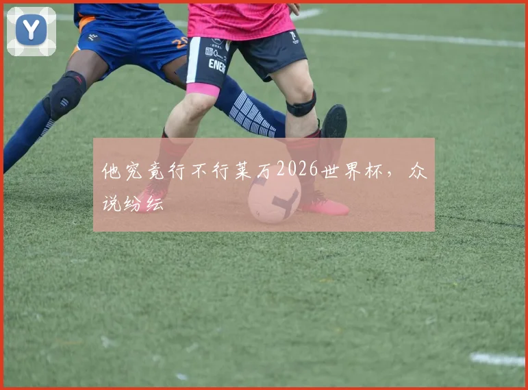 他究竟行不行莱万2026世界杯，众说纷纭