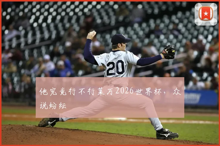 他究竟行不行莱万2026世界杯，众说纷纭
