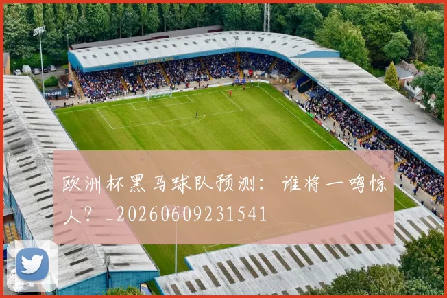 欧洲杯黑马球队预测：谁将一鸣惊人？_20260609231541